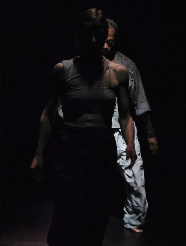 FADE TO GREY galerie foto 8