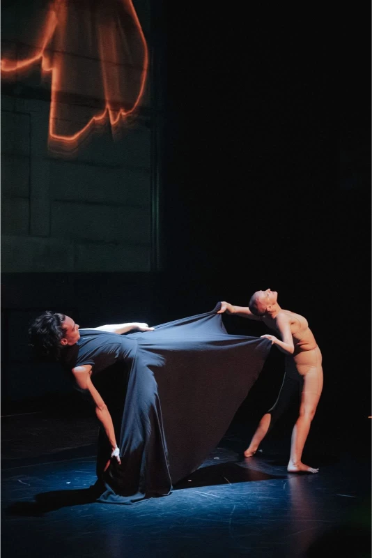 5+3=9 galerie foto 1