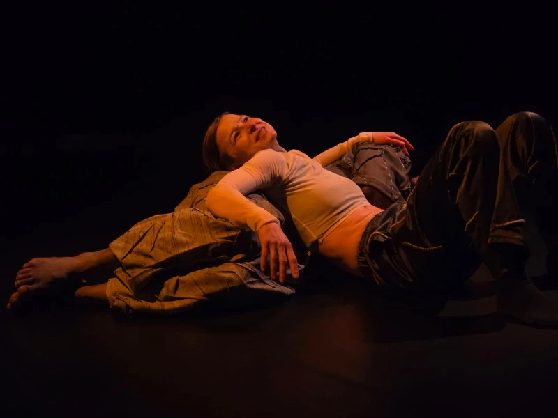 FADE TO GREY galerie foto 1