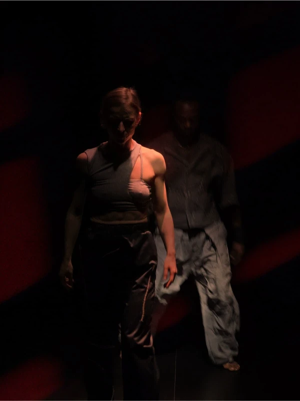 FADE TO GREY galerie foto 2